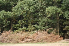 Reisighaufen