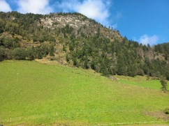 Waldbau im Klimawandel im Gebiet Bad Gastein - Fach- und Jahrestagung am 15.9.2022