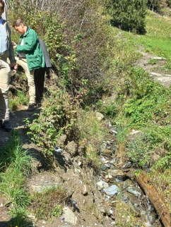 Waldbau im Klimawandel im Gebiet Bad Gastein - Fach- und Jahrestagung am 15.9.2022