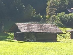 Waldbau im Klimawandel im Gebiet Bad Gastein - Fach- und Jahrestagung am 15.9.2022