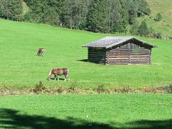 Waldbau im Klimawandel im Gebiet Bad Gastein - Fach- und Jahrestagung am 15.9.2022