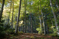 Fach- und Jahrestagung des Forstvereins für OÖ und Sbg. 14.10.2025, Stift Waldhausen